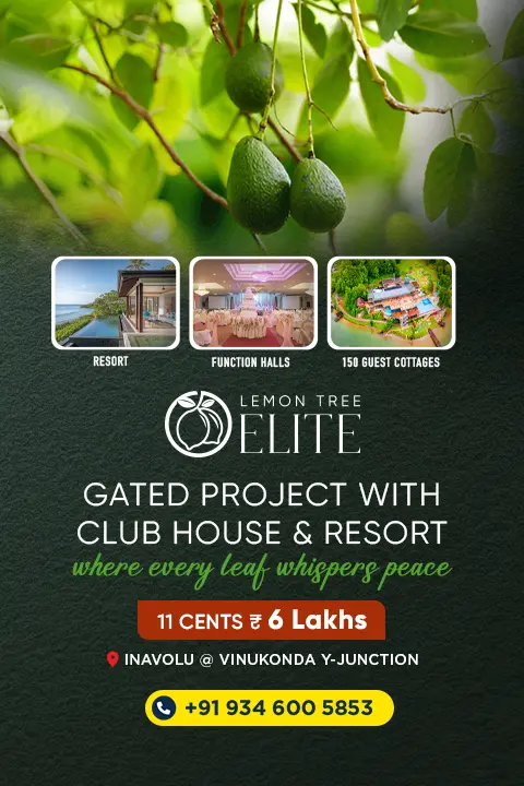 Lemon tree elite Ainavolu Vinukonda, A gated community farmland venture with clubhouse and resort , a project by Gayathri99 Developers