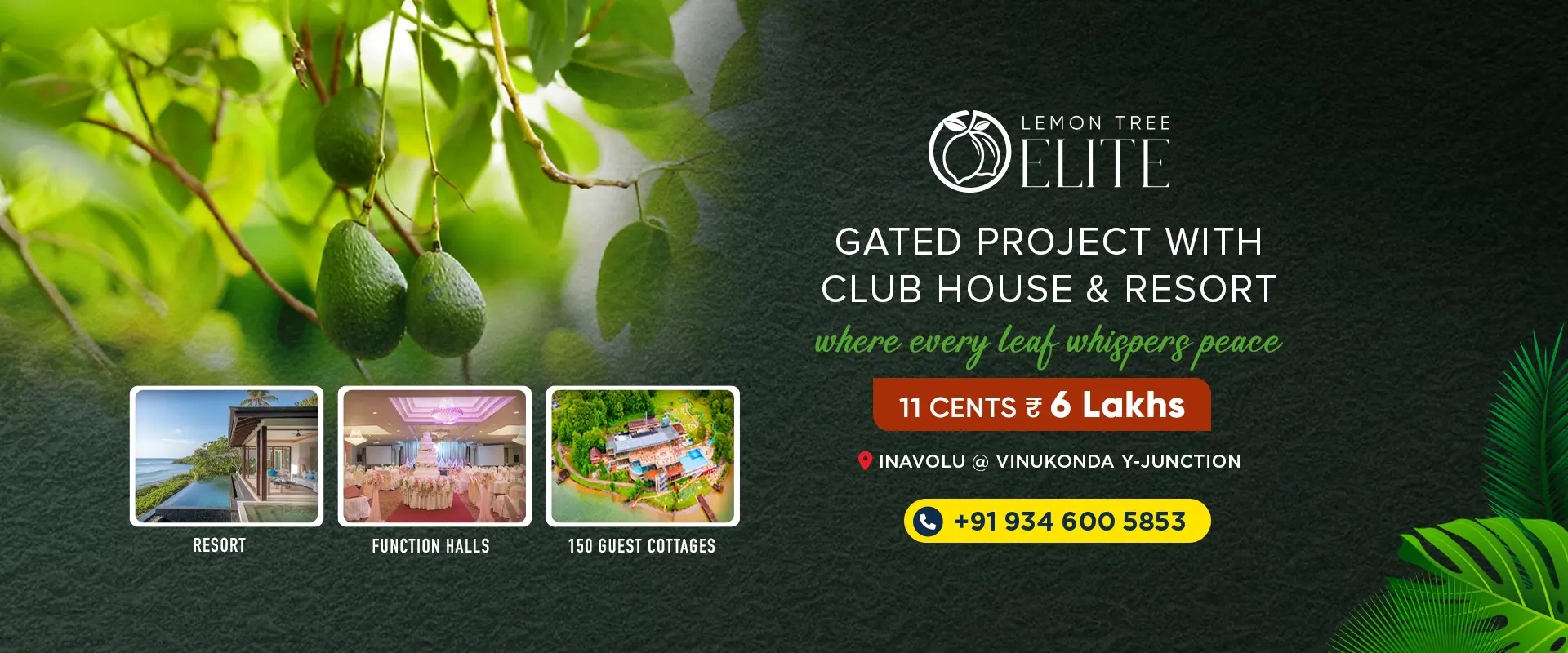 Lemon tree elite Ainavolu Vinukonda, A gated community farmland venture with clubhouse and resort , a project by Gayathri99 Developers